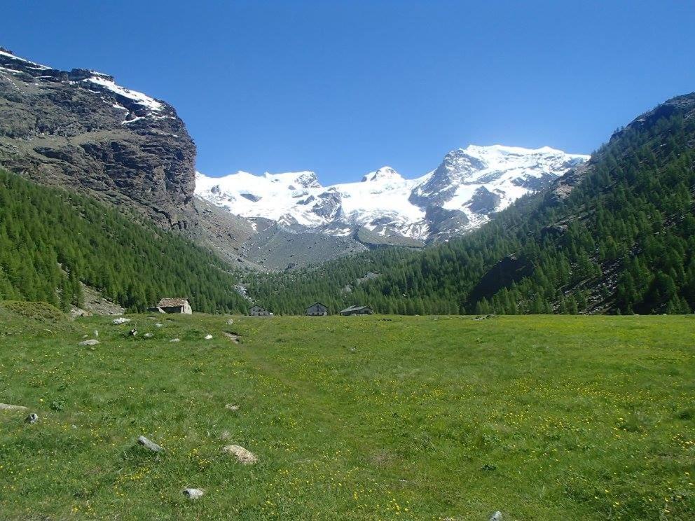 Residence Les Coupoles Champoluc Exteriér fotografie